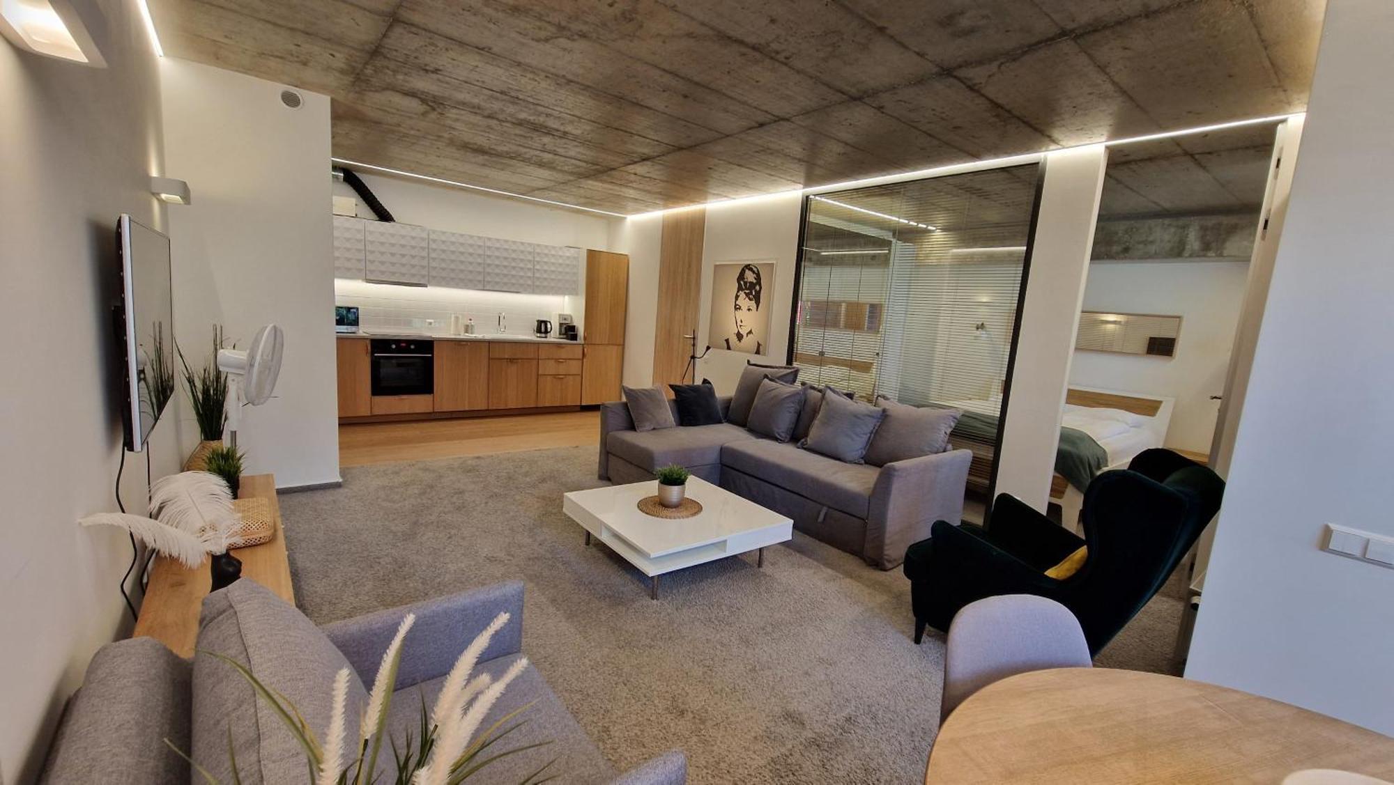 Kauno-algirdo Luxury Leilighet Vilnius